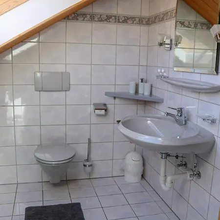 Moosbrugger Apartment *